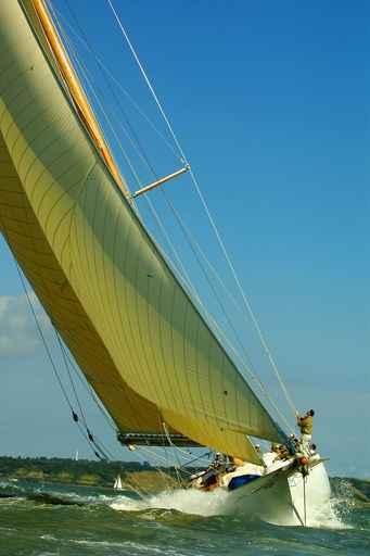 Super Yacht Racing Wall Decal