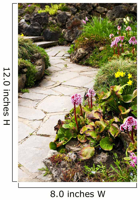 Spring garden Wall Mural