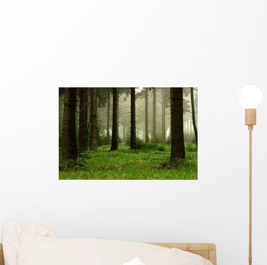 Forest 2 Wall Decal