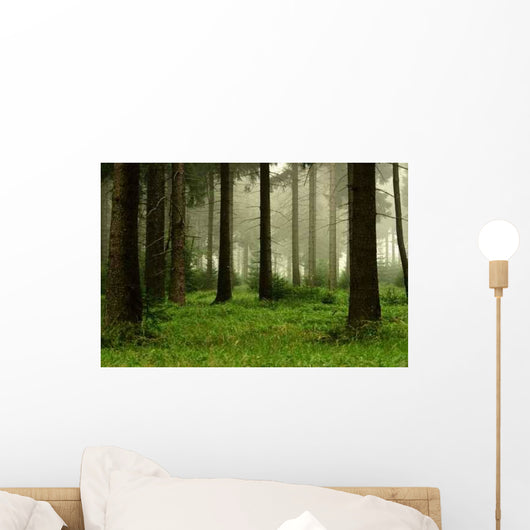 Forest 2 Wall Decal