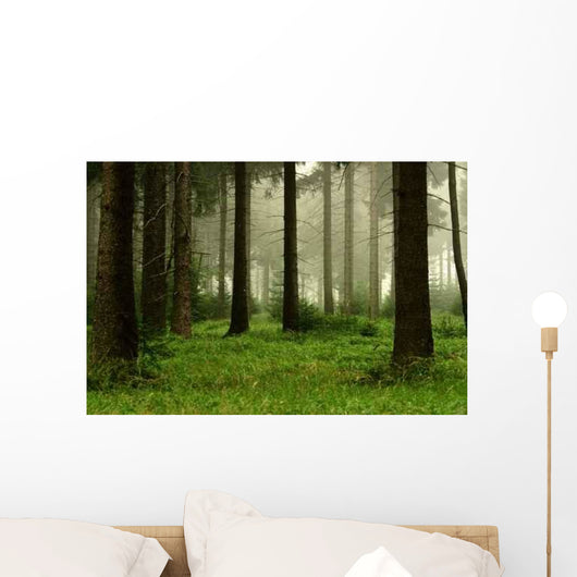 Forest 2 Wall Decal