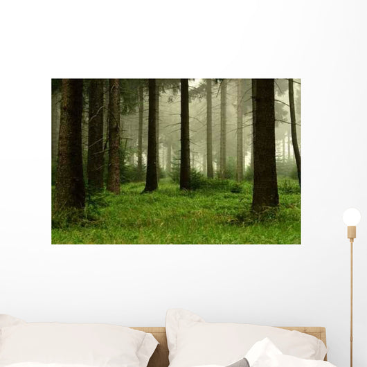 Forest 2 Wall Decal