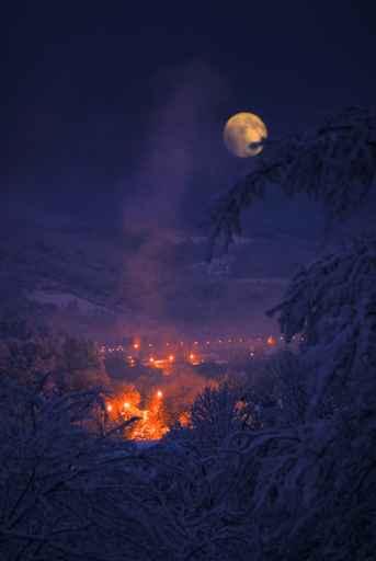 Moon Winter Wall Decal