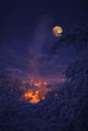 Moon Winter Wall Decal