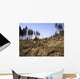 Beseitigung Der Sturmschaden Wall Decal