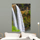 Wailua Falls on Kauai Hawaii up Close Wall Mural