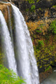 Wailua Falls on Kauai Hawaii up Close Wall Mural