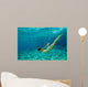 Bikini Underwater Wall Mural