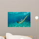 bikini underwater Wall Mural