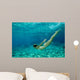bikini underwater Wall Mural