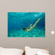 bikini underwater Wall Mural
