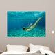 bikini underwater Wall Mural