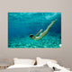 bikini underwater Wall Mural