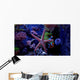 Aquarium scene with Starfish Wall Mural
