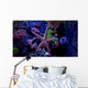 Aquarium scene with Starfish Wall Mural