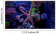 Aquarium scene with Starfish Wall Mural