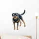 Watercolor Rottweiler Wall Decal