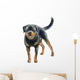 Watercolor Rottweiler Wall Decal