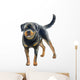 Watercolor Rottweiler Wall Decal