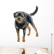 Watercolor Rottweiler Wall Decal