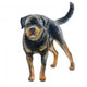 Watercolor Rottweiler Wall Decal