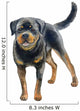 Watercolor Rottweiler Wall Decal
