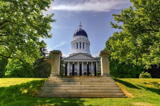 Maine State House Wall Decal