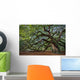 Large Southern Live Oak Wall Decal