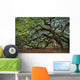 Large Southern Live Oak Wall Decal