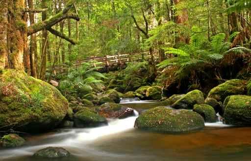 Bridge Wall Decal Design 2