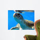 Turtel curiosity Wall Mural
