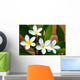 Frangipani Wall Mural