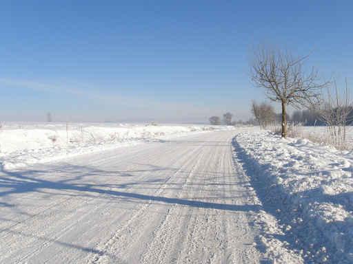 Winterweg Wall Decal