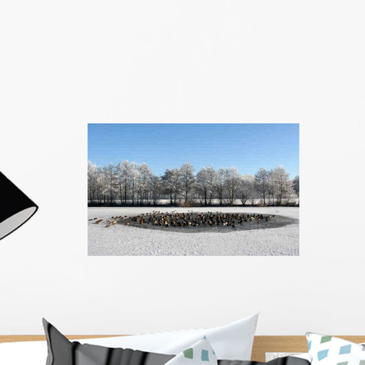 Ducks Ice-hole Wall Decal