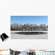 Ducks Ice-hole Wall Decal