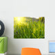 Green Grass Sunset Wall Decal