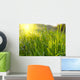 Green Grass Sunset Wall Decal