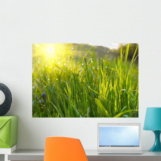 Green Grass Sunset Wall Decal