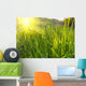 Green Grass Sunset Wall Decal