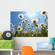 White Daisies Blue Sky Wall Decal Design 1