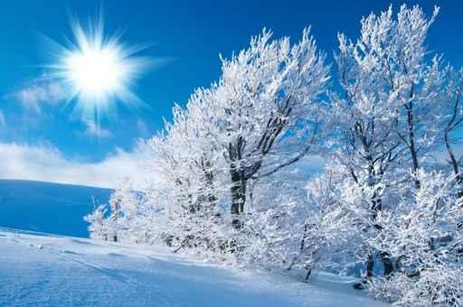 Winter Mountains Wall Decal