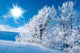 Winter Mountains Wall Decal