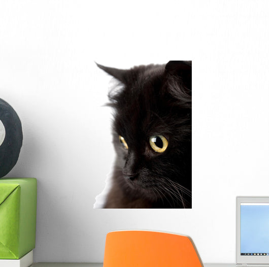face of cute black cat Wall Decal