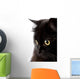 face of cute black cat Wall Decal