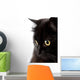 face of cute black cat Wall Decal