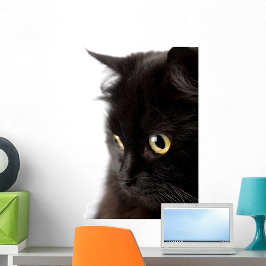 face of cute black cat Wall Decal