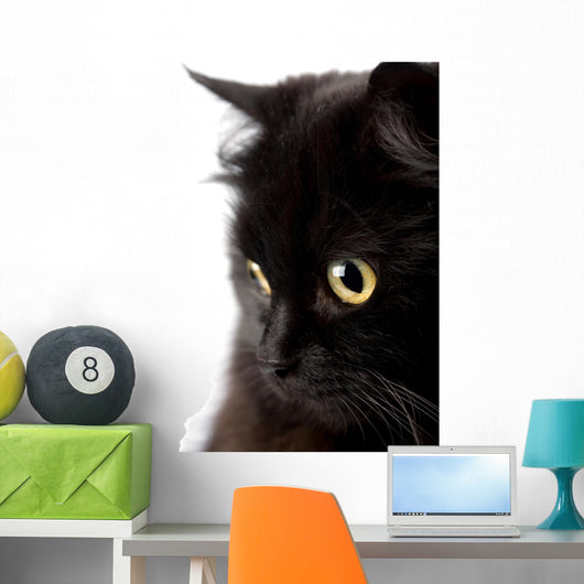 face of cute black cat Wall Decal