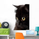face of cute black cat Wall Decal