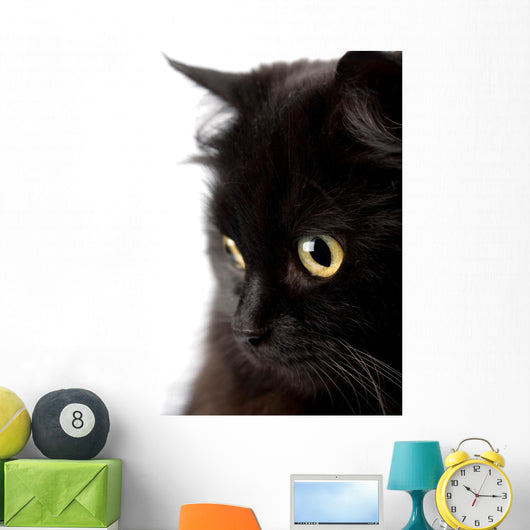face of cute black cat Wall Decal