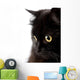 face of cute black cat Wall Decal